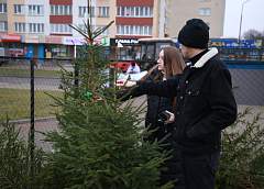 Елочные базары начали работу в Гродно