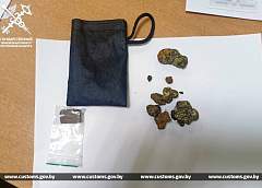 Гродненец пытался ввезти из Польши в Беларусь грибы с психотропом в составе