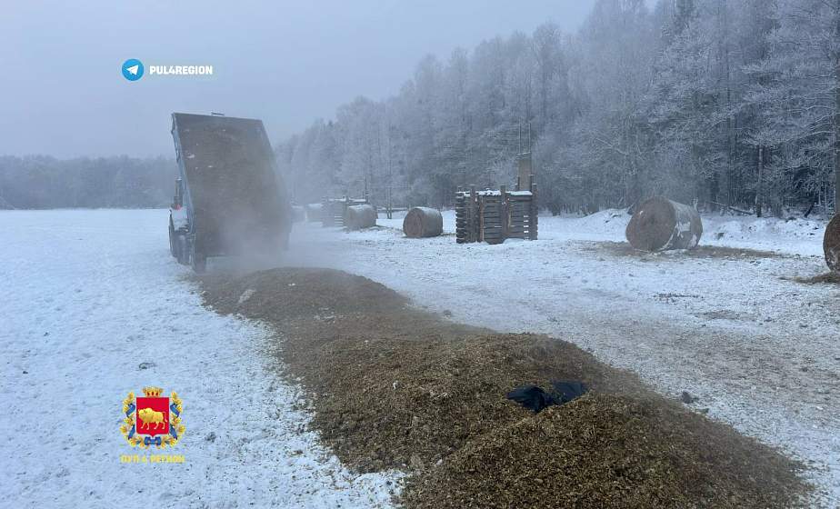 Зимняя подкормка: десятки тонн корма для полутысячи зубров