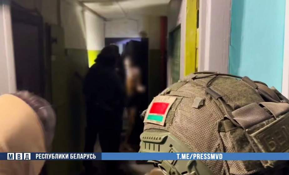В Пинске задержан белорус за прославление идей нацизма