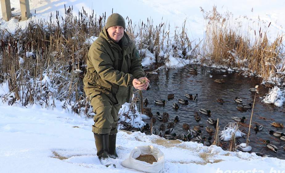 В Берестовицком районе подкармливают птиц в морозы