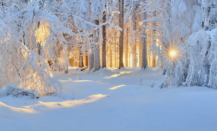 Погода в Гродно на 8 февраля