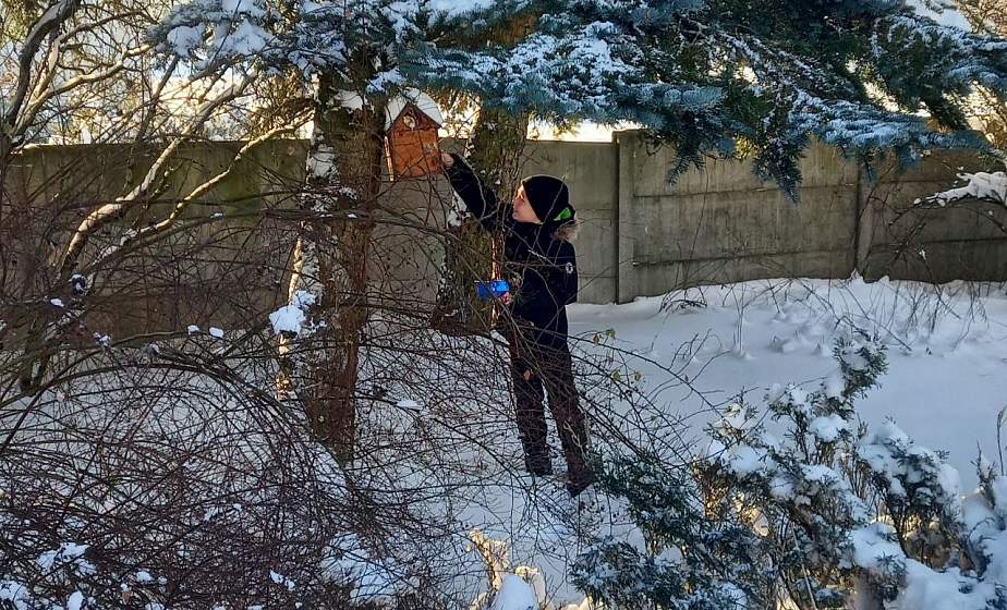 «Птичья столовая»: школьники Лидского района подкармливают птиц в морозы