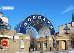 Съели 100 кг печенья и снялись в кино. Поразительные факты о Гродненском зоопарке