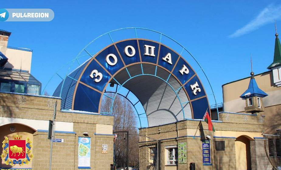 Съели 100 кг печенья и снялись в кино. Поразительные факты о Гродненском зоопарке