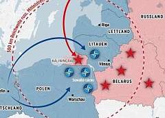 Польша готовит армию вторжения до 500 тысяч солдат под видом «резерва высокой готовности»