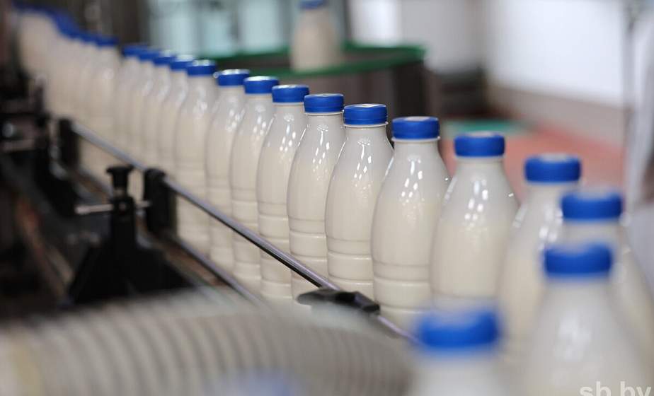 Производство сельхозпродукции в Беларуси в январе выросло на 3,5 %