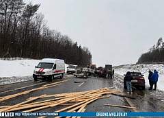 Под Зельвой легковушка вылетела на встречку под колеса грузовика