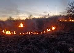 Первые случаи возгорания сухой травы зарегистрированы в Гродненской области