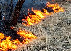 Более 20 возгораний сухой травы ликвидировали за сутки гродненские спасатели