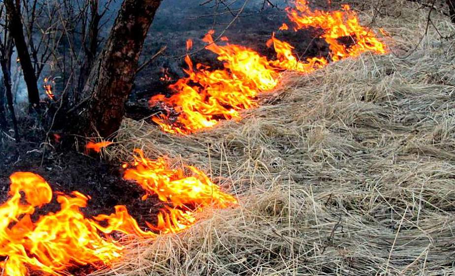 Более 20 возгораний сухой травы ликвидировали за сутки гродненские спасатели