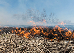 Спасатели Гродненской области за выходные ликвидировали 28 возгораний сухой травы