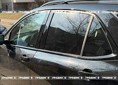 Как в Гродно борются с кричащими чайками? 