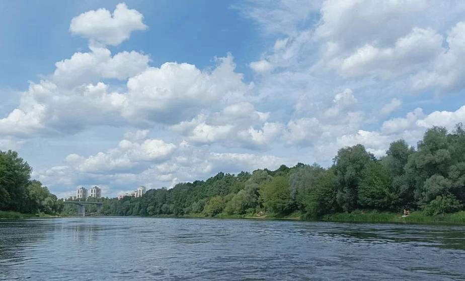 В лесопарке Румлево появится экологическая тропа: названы победители конкурса гражданских инициатив