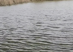 В Гродненском районе мать спасла тонущую дочь: девочка в больнице