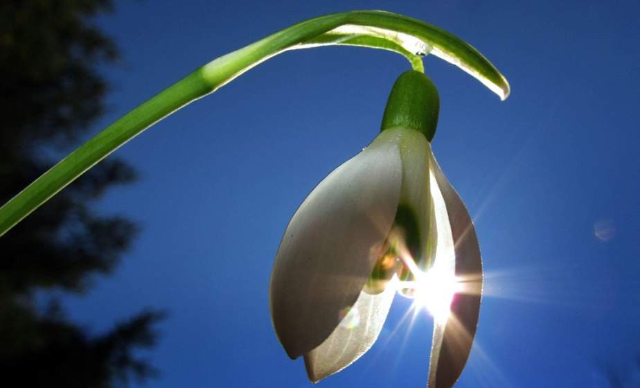 Дождь и снег. Погода с 6 по 12 апреля неприятно удивит белорусов