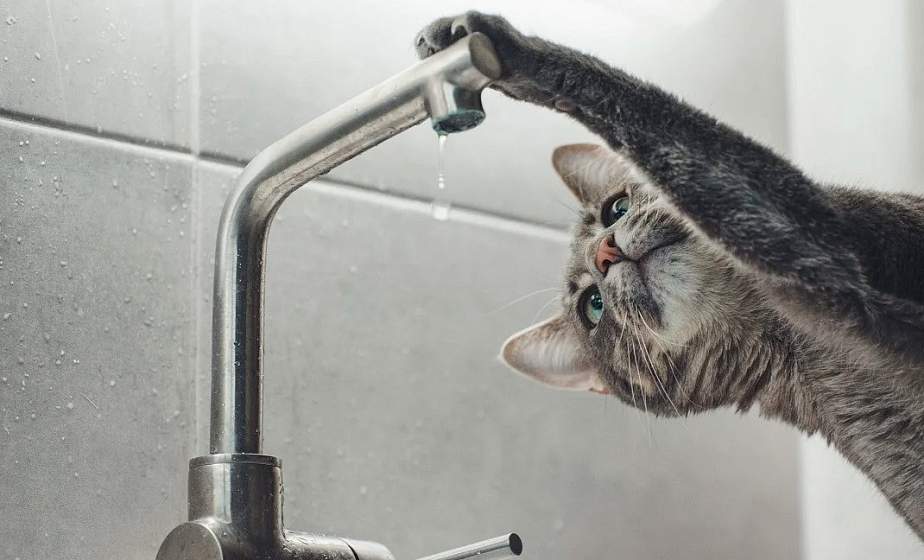 Где в Гродно не будет воды 8 апреля?