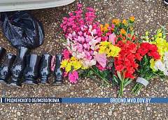 Обворовывал могилы и дачи. В Слониме раскрыли серию краж по забытому пакету