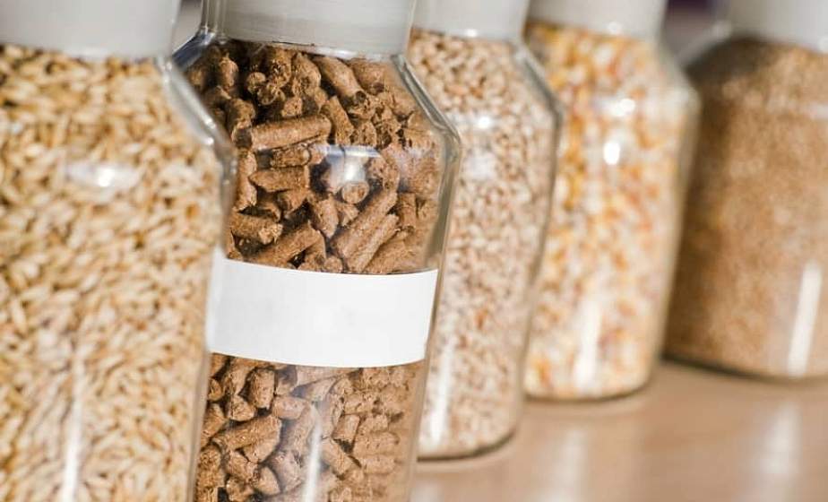 В Беларуси создадут реестр производителей кормов и кормовых добавок для сельхозживотных В Беларуси создадут реестр производителей кормов и кормовых добавок для сельхозживотных