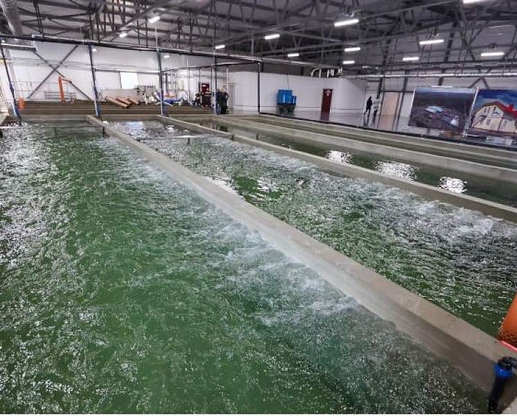 Александр Лукашенко совершает рабочую поездку в Могилевскую область