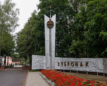 Более 270 детей из десяти стран отдохнут в белорусском «Зубренке»