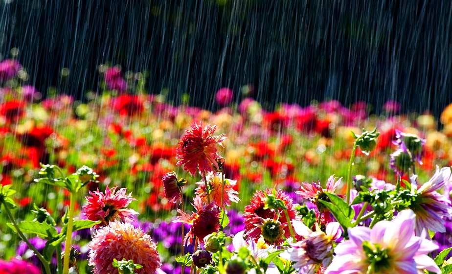 До 26 градусов тепла и местами дожди - погода в Беларуси 9 сентября