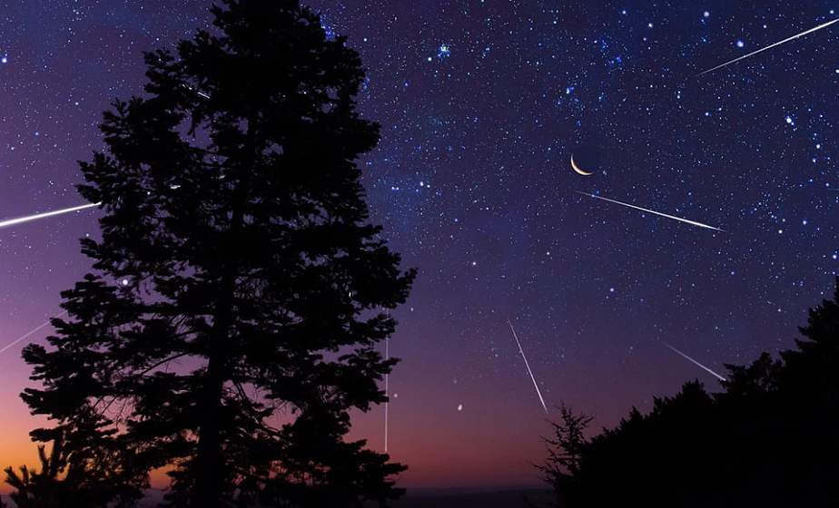 Время загадывать желания: звездопад Лириды украсит небо в ночь на 22 апреля