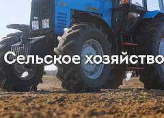 Широкий выбор специальностей: белорусское образование в сфере сельского хозяйства