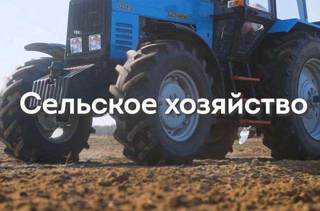 Широкий выбор специальностей: белорусское образование в сфере сельского хозяйства