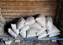 В Кореличском районе недобропорядочный животновод украл свыше тонны комбикорма