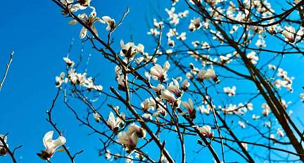 До +17 тепла и порывистый ветер: погода в Гродненской области на 25 апреля