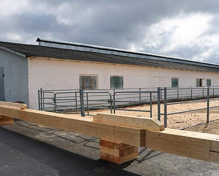 «Все должно быть дешево и функционально». Александр Лукашенко озвучил требования к строительству МТК