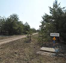 Як некалі жывая вёска Уласы на Гомельшчыне стала ўспамінам аб Чарнобыльскай трагедыі