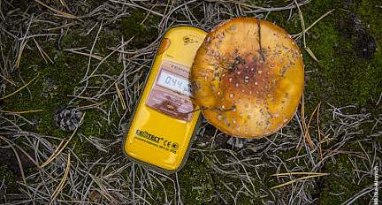 Безопасно ли здесь жить? Что показывает радиационный мониторинг в регионе?