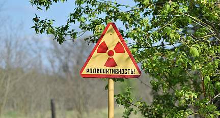 Компромисс с радиацией. Как белорусские ученые восстанавливают пострадавшие от ЧАЭС территории