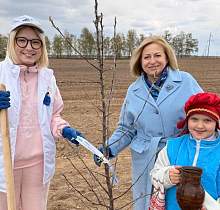 ОО «Белорусский союз женщин» высадила яблоневую аллею