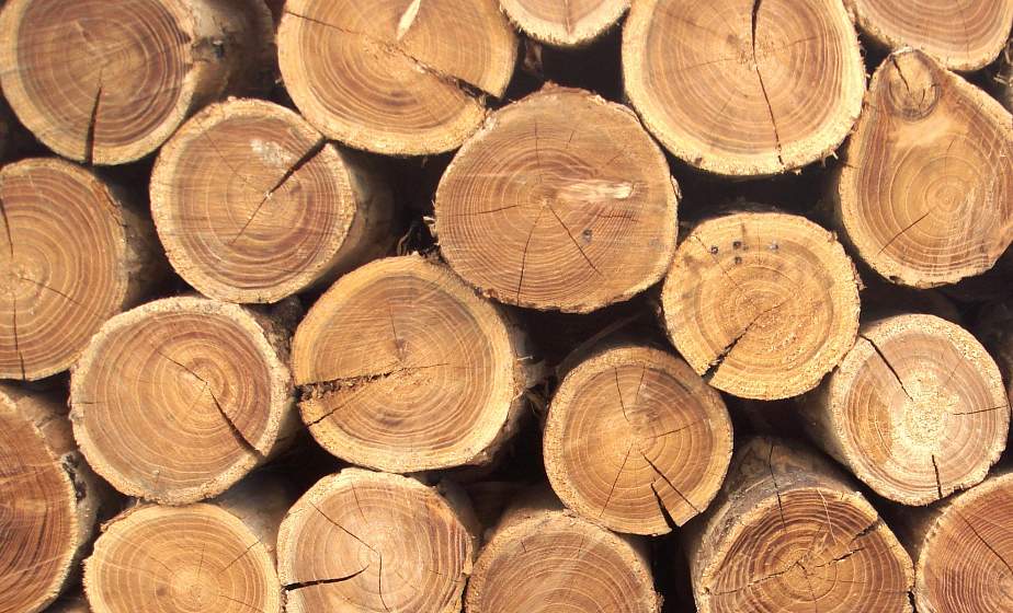 КГК проведет прямую линию по вопросу проблем приобретения населением деловой древесины