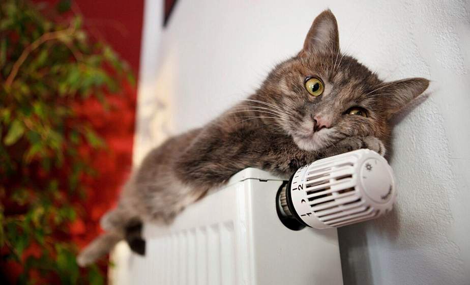 Снова будем мерзнуть? Какая погода ожидает жителей Гродненщины в последний день апреля