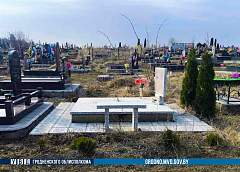 В Гродно женщина украла туи с кладбища, чтобы купить спиртное
