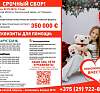 Продолжается сбор средств на лечение Златы Заяц из аг. Тиховоля