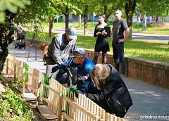 КГК проведет телефонную линию по вопросам благоустройства населенных пунктов