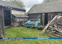 В Кореличском районе прицеп угнали прямо с обочины