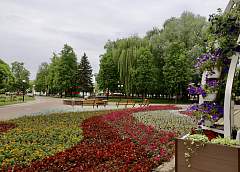 Гродно утопает в цветах! В областном центре в самом разгаре подготовка к юбилейному фестивалю национальных культур