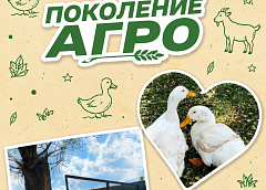 Петух-командир и козлёнок-сирота: будни студентов-ветеринаров в проекте «Поколение Агро»