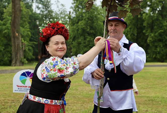 «Аллея Дружбы» в Коложском парке пополнилась новыми деревьями
