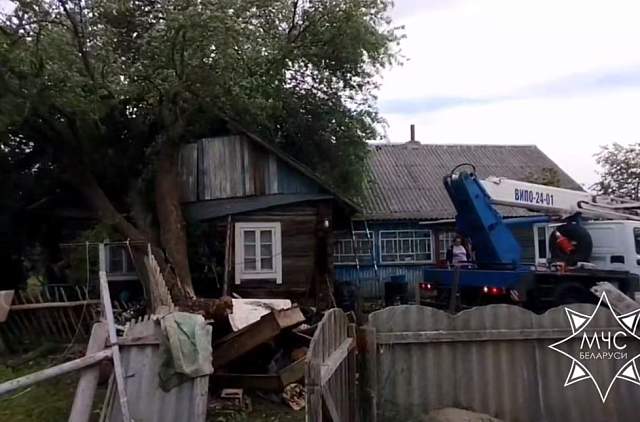 Поваленные деревья и поврежденные крыши: стихия прошлась по Гродненщине