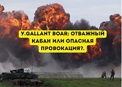 «Отважный кабан» на грани безумия: зачем НАТО превращает Сувалкский коридор в пороховую бочку