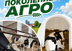 Знали ли вы, что даже у коров есть карусели?