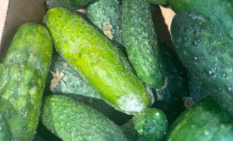 Что делать, если увидели в магазине испорченные продукты?