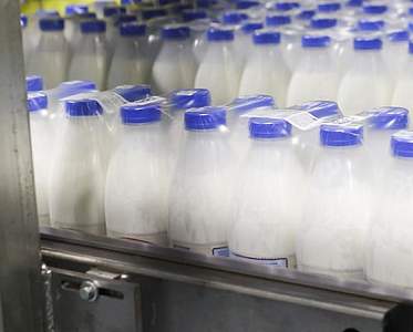 Белорусские молочные продукты экспортируются в 55 стран